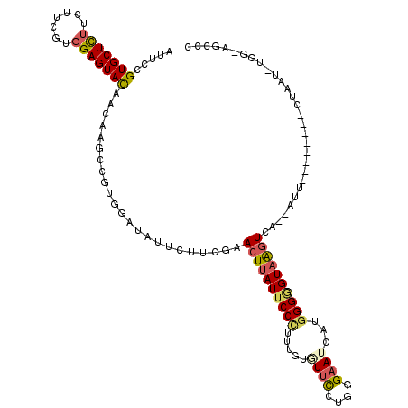 secondary structure