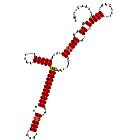 secondary structure