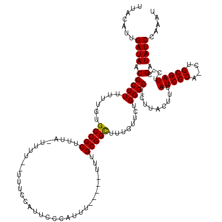 secondary structure