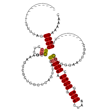 secondary structure