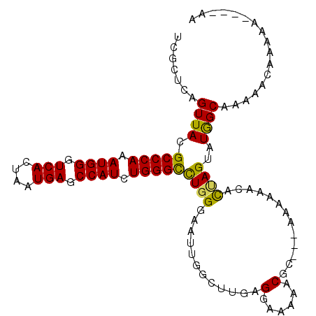 secondary structure