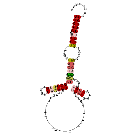 secondary structure