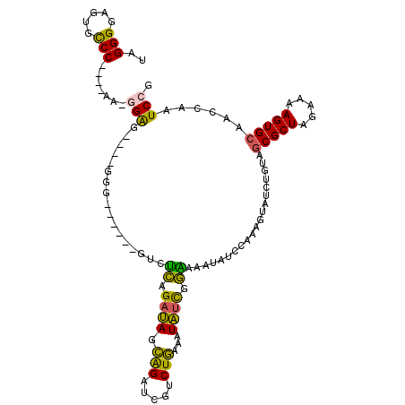 secondary structure