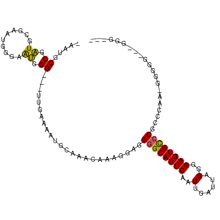 secondary structure