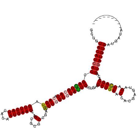 secondary structure