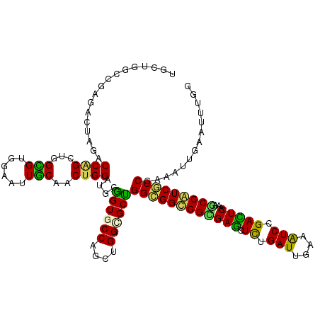 secondary structure
