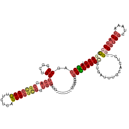 secondary structure