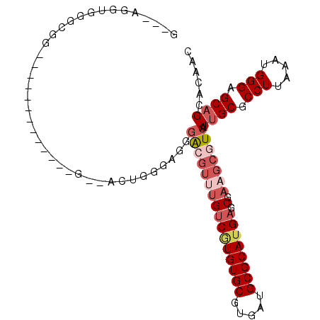 secondary structure