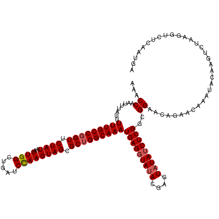 secondary structure