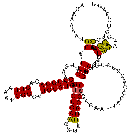secondary structure