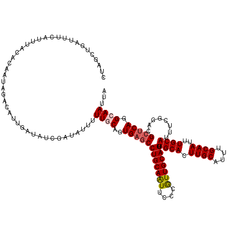 secondary structure