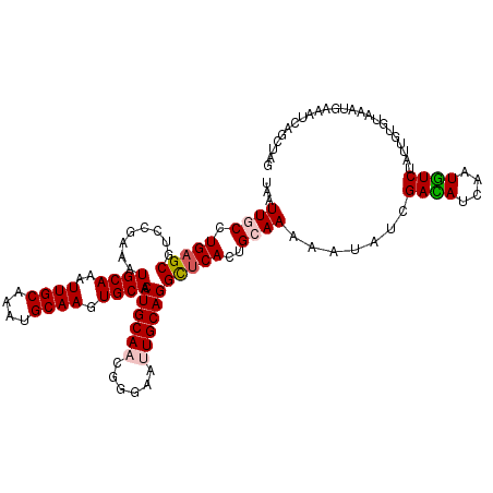 secondary structure