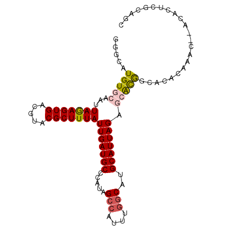 secondary structure