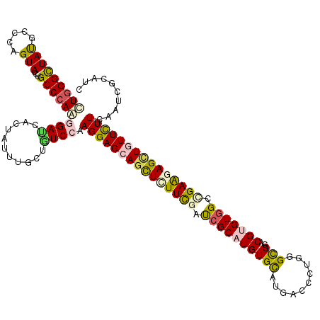secondary structure