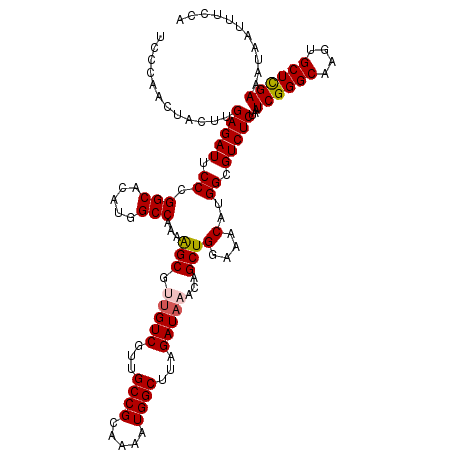 secondary structure