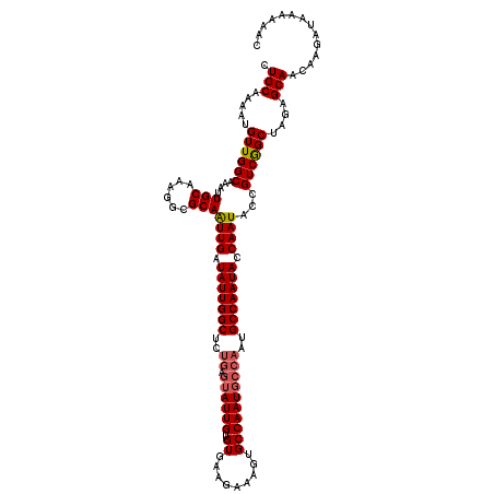 secondary structure