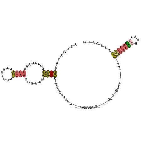 secondary structure