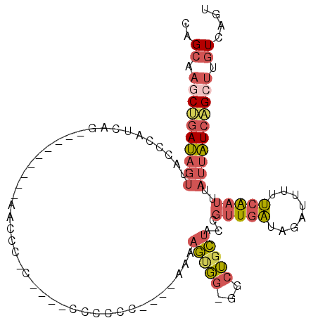 secondary structure