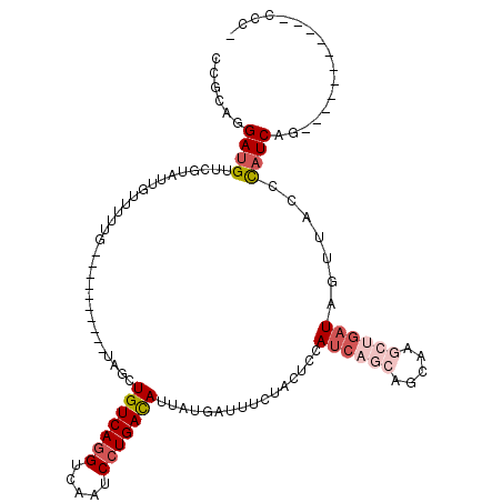 secondary structure