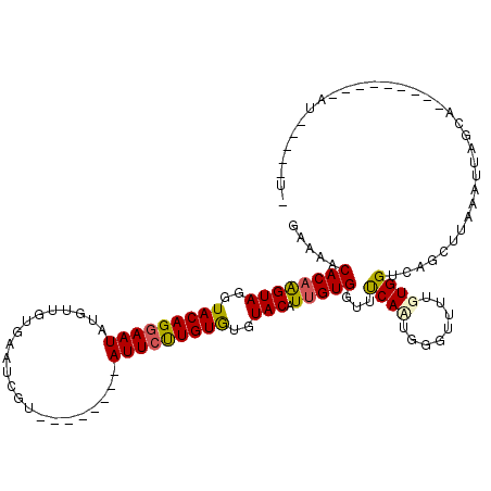 secondary structure