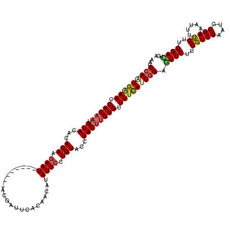 secondary structure