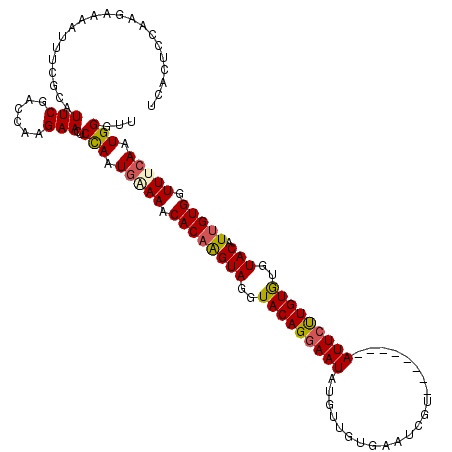 secondary structure