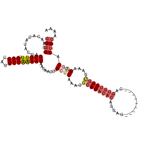 secondary structure