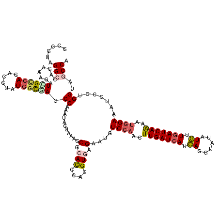 secondary structure