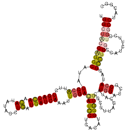 secondary structure
