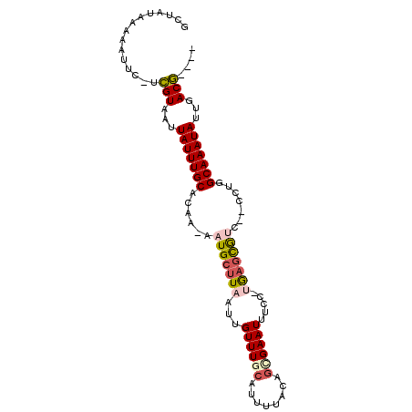 secondary structure