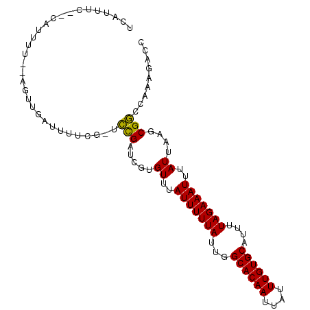 secondary structure