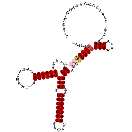 secondary structure