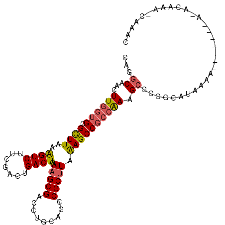 secondary structure