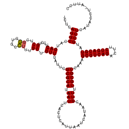 secondary structure