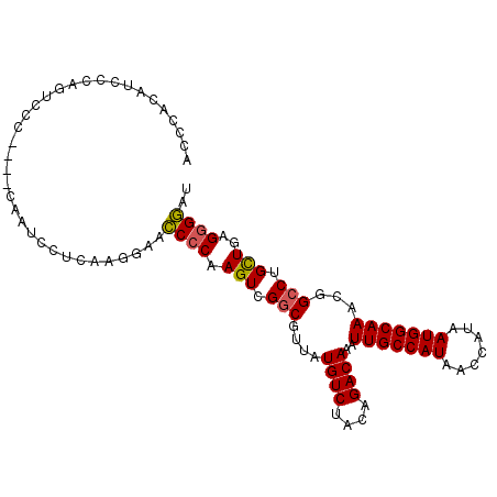 secondary structure