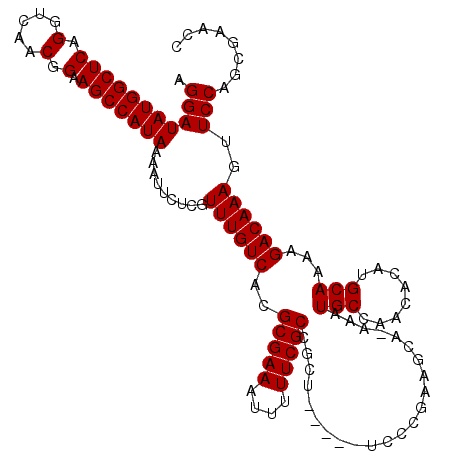 secondary structure