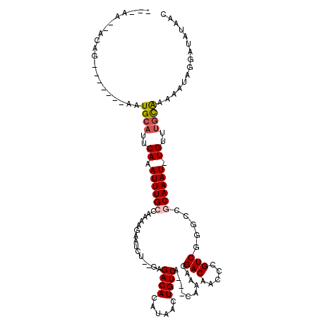 secondary structure