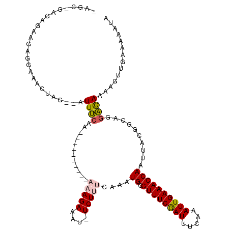 secondary structure