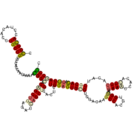 secondary structure