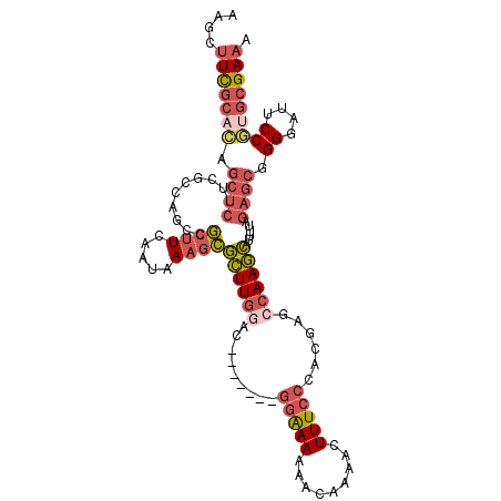 secondary structure