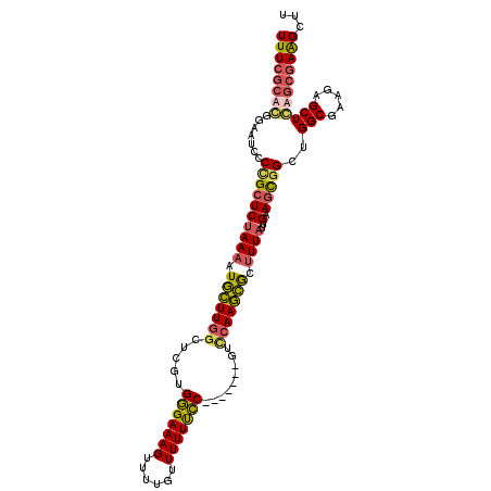 secondary structure