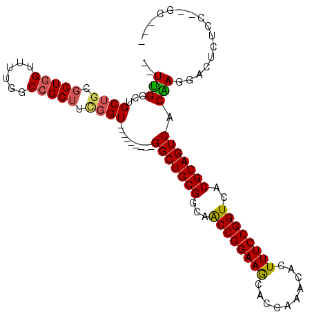 secondary structure