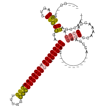 secondary structure
