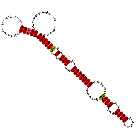 secondary structure