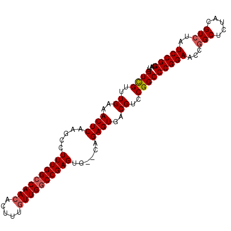 secondary structure