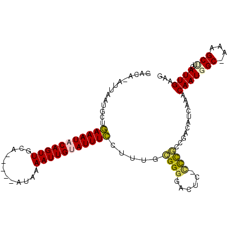 secondary structure
