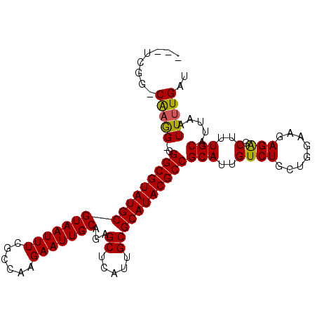 secondary structure