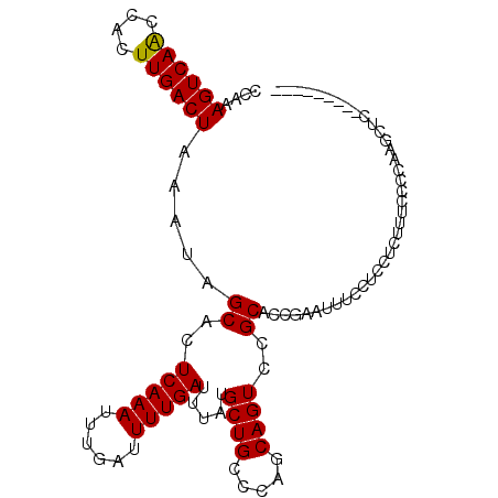 secondary structure