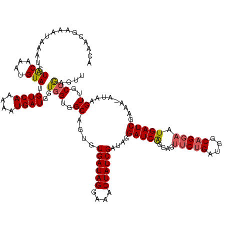 secondary structure