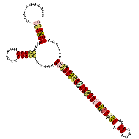 secondary structure